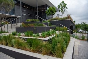 Commercial Landscaping Company